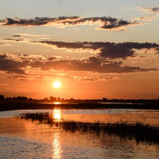 Sonnenuntergang am Chobe River