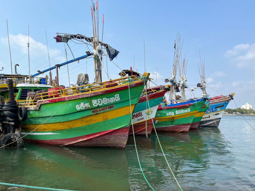 Fischerboote an der Südküste Sri Lankas