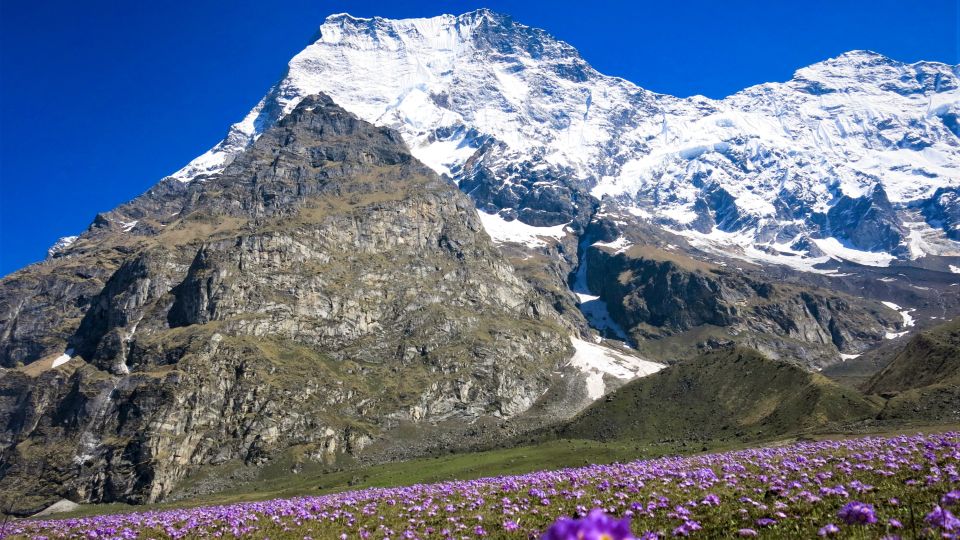 Blick auf Mount Api mit Blumenwiese