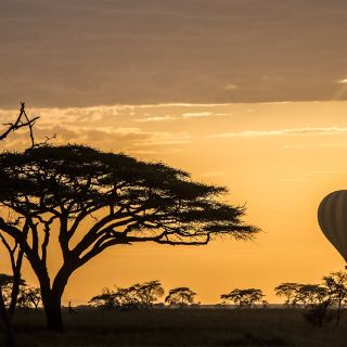 Ballon über der Serengeti zur Morgendämmerung