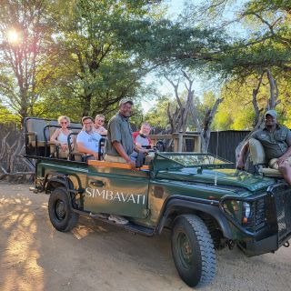 Timbavati Safariausflug