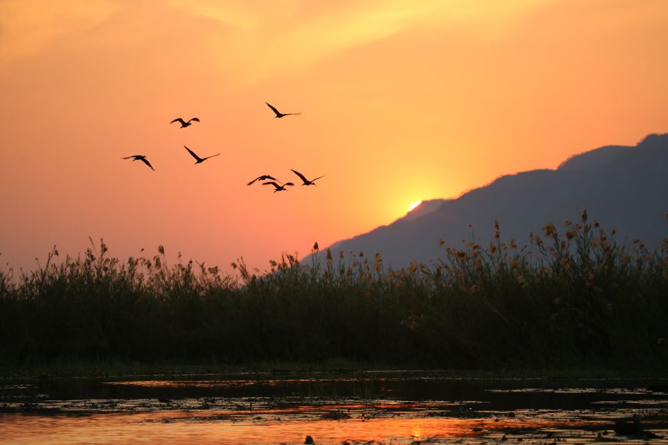 Sonnenuntergang im Lower Zambezi NP