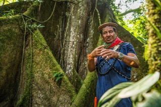 Die indigenen Stämme leben im Einklang von und mit dem Regenwald