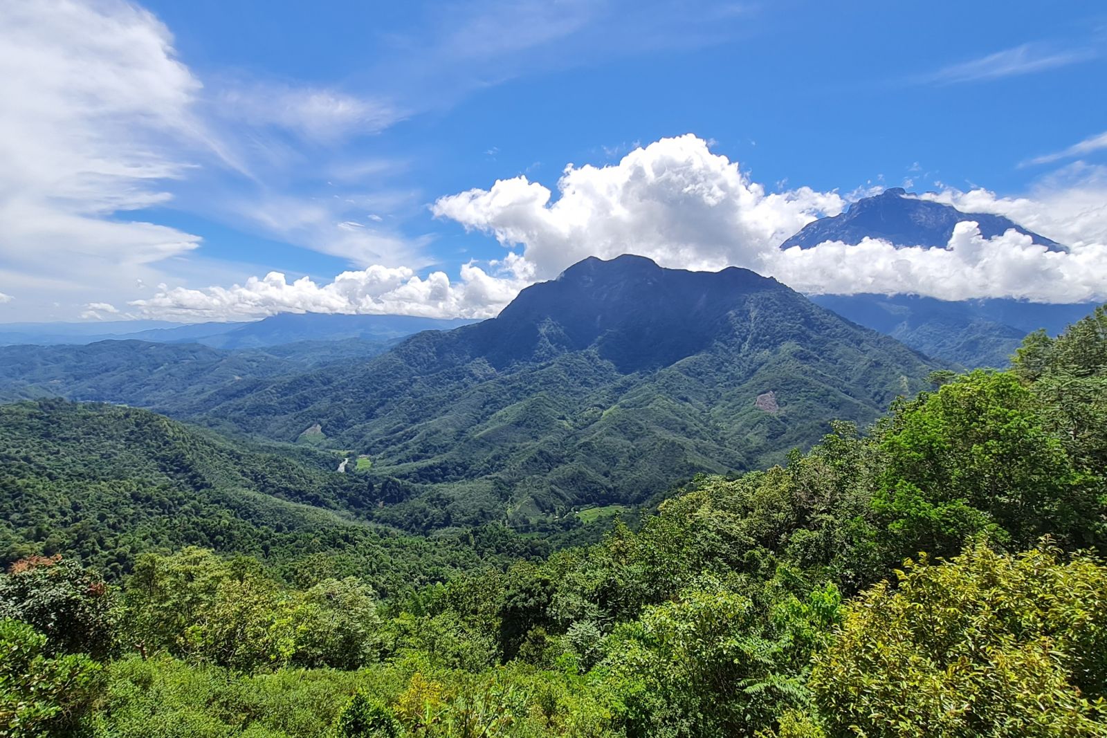 Blick über die Wälder Sabahs