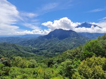 Blick über die Wälder Sabahs