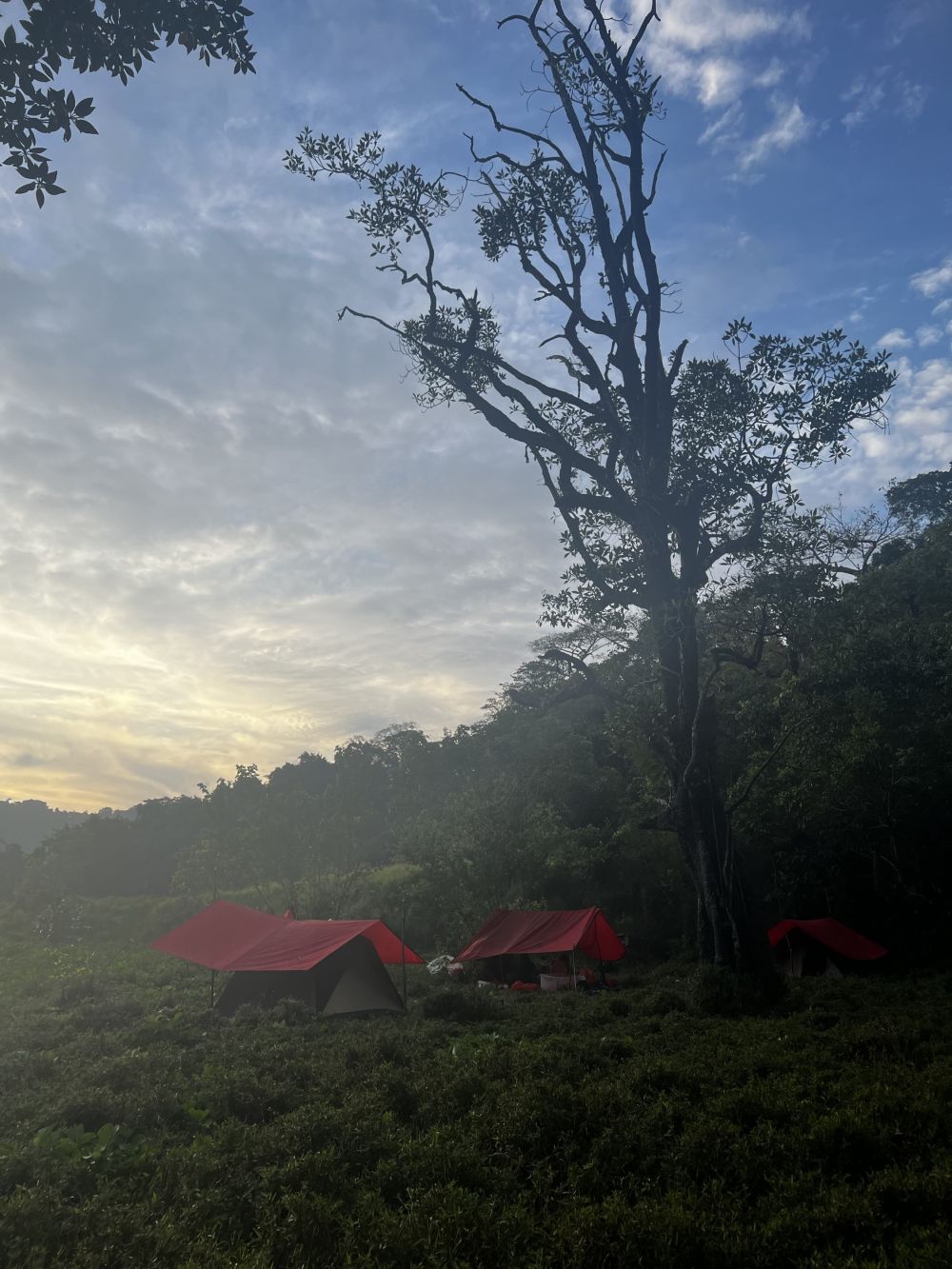 Camp im Morgennebel