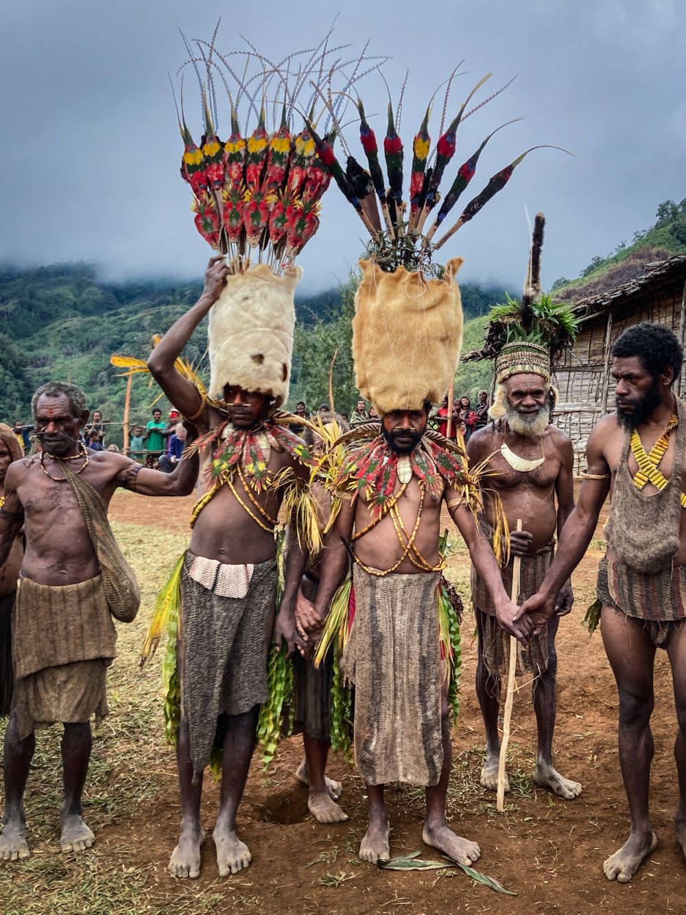 Krieger der Kalam in Simbai, Papua-Neuguinea bei einem Fest