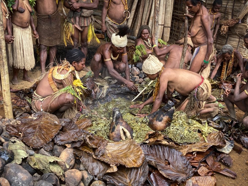 Schweinekopfverteilung an stammesangehörige Familien beim Stamm der Kalam in Sambai, Papua-Neuguinea