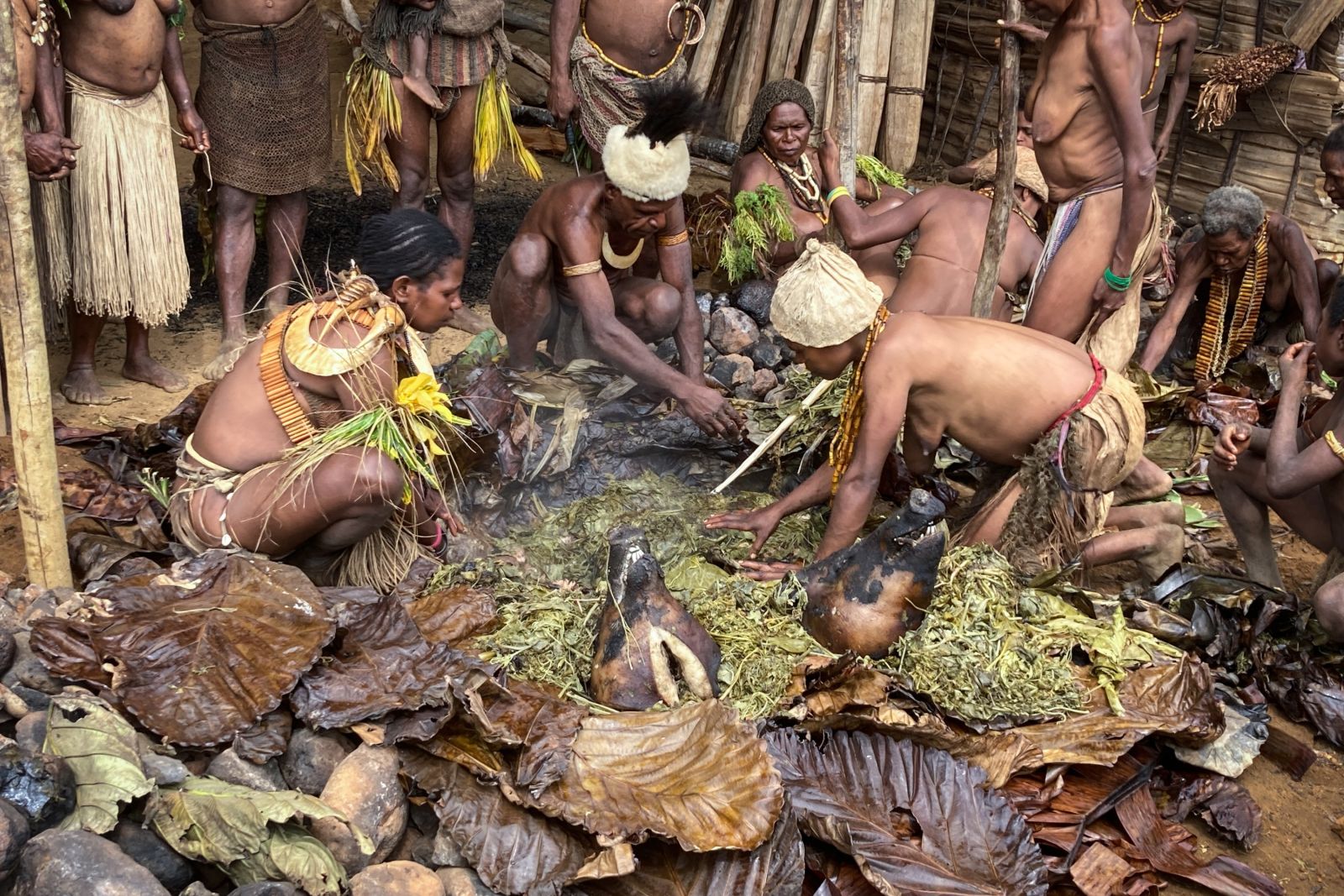 Schweinekopfverteilung an stammesangehörige Familien beim Stamm der Kalam in Sambai, Papua-Neuguinea