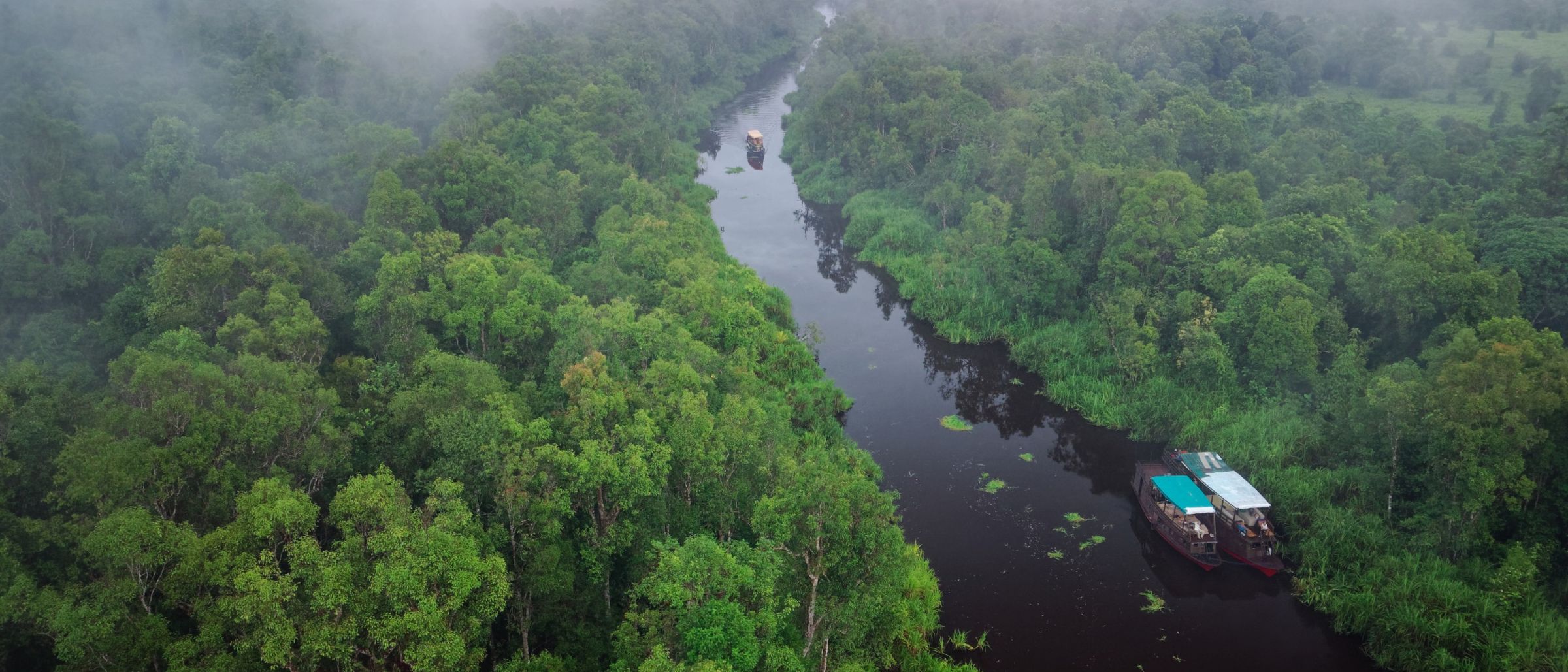 Sehnsuchtsziel Borneo: Bootstour zu den Orang-Utans
