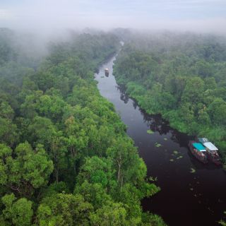 Flusssafari im Tanjung Puting NP