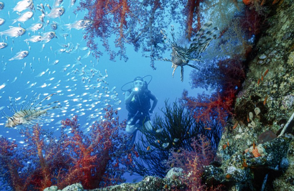 Faszinierende Unterwasserwelt