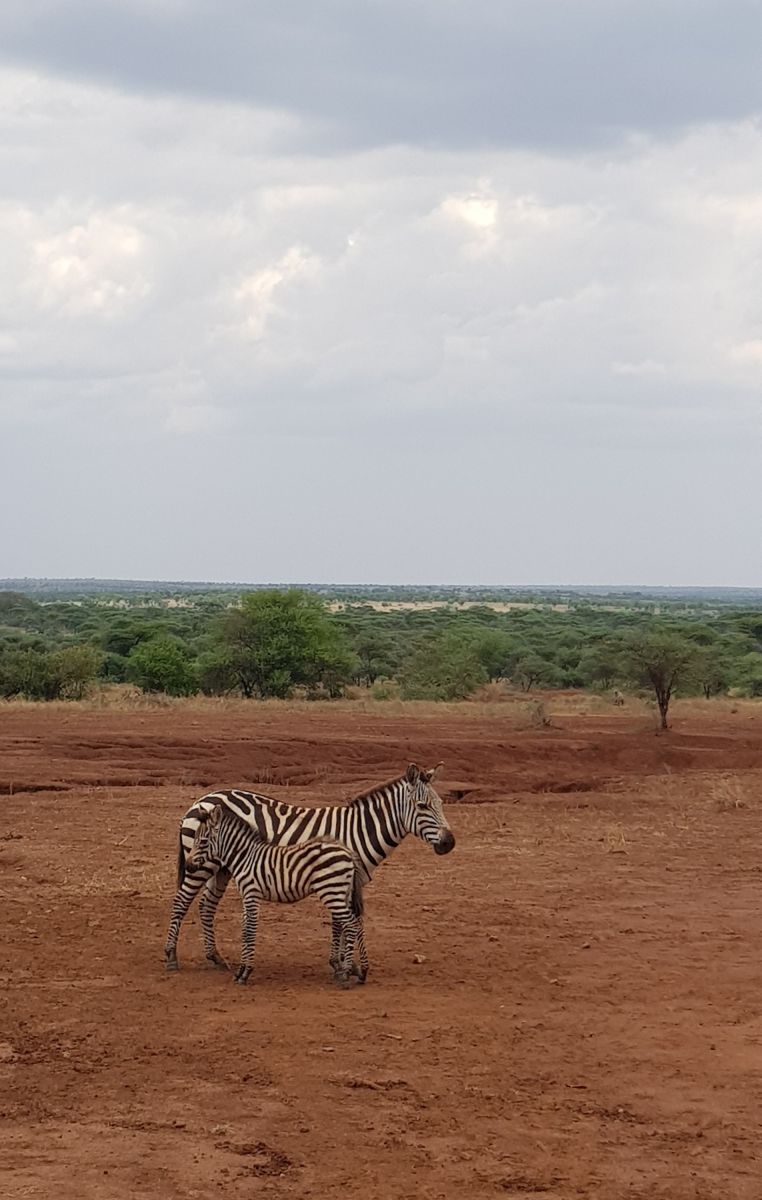 Unterwegs auf Erkundungstour in Tansania