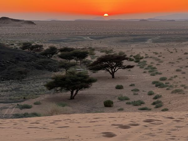 Sonnenuntergang Sinai © Diamir