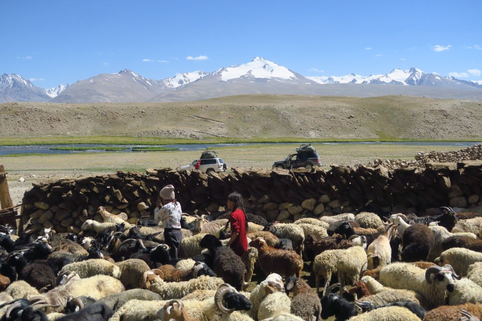 Pamir – Kinder mit Schafen