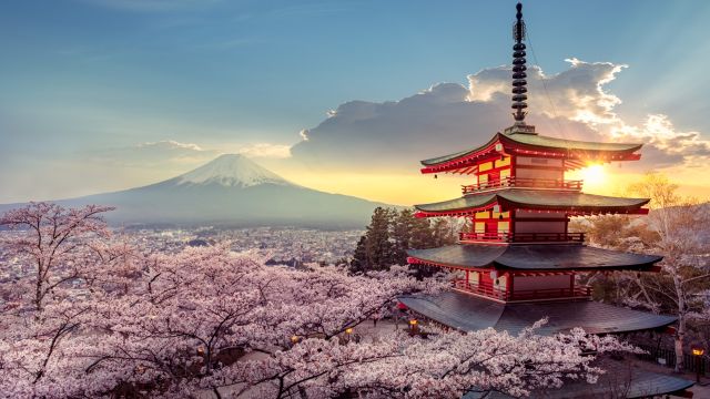 Fujiyoshida, Blick auf Mt. Fuji und die Chureito Pagode zur Kirschblüte