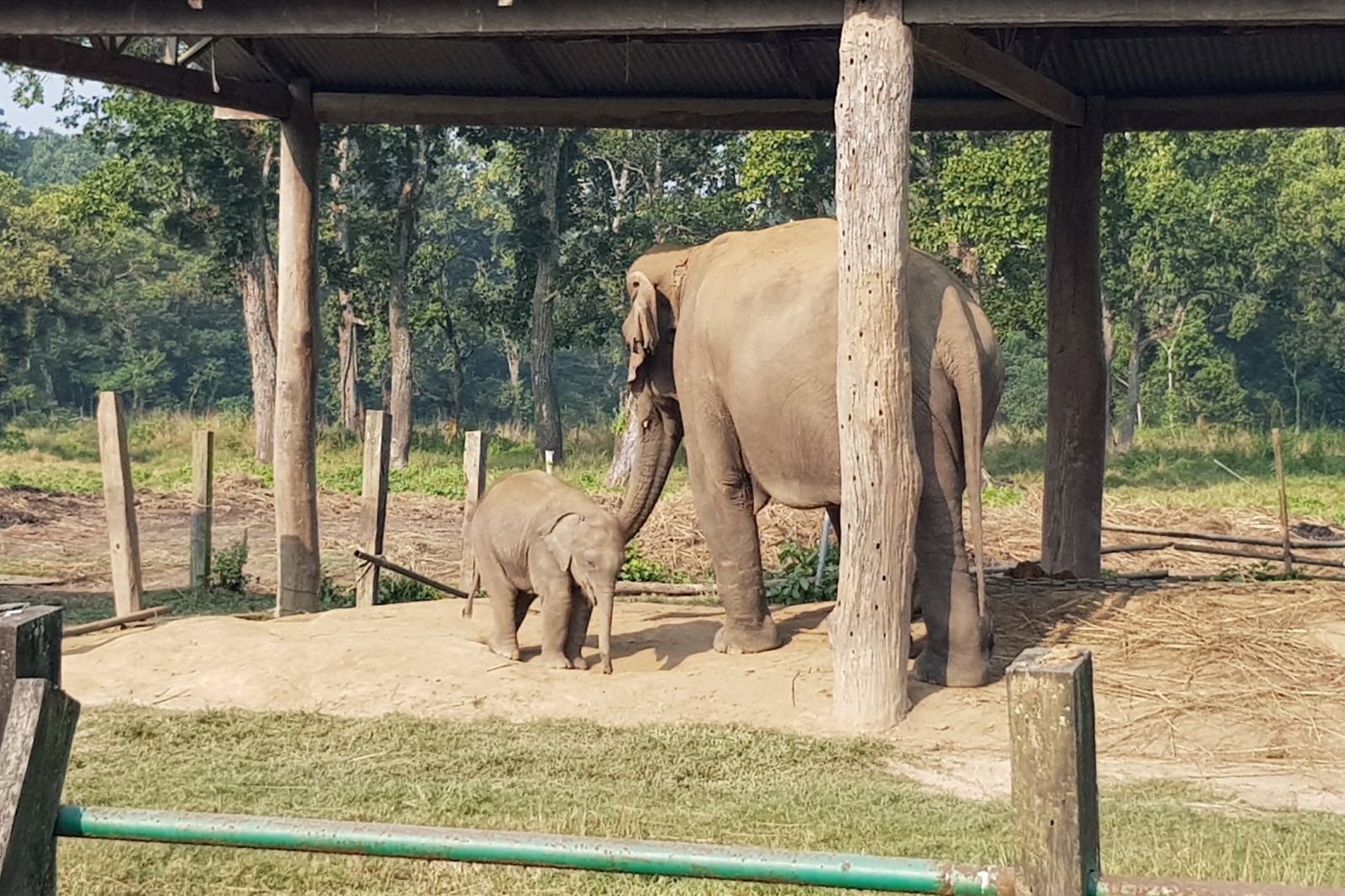 Elefantenaufzuchtstation im Chitwan NP