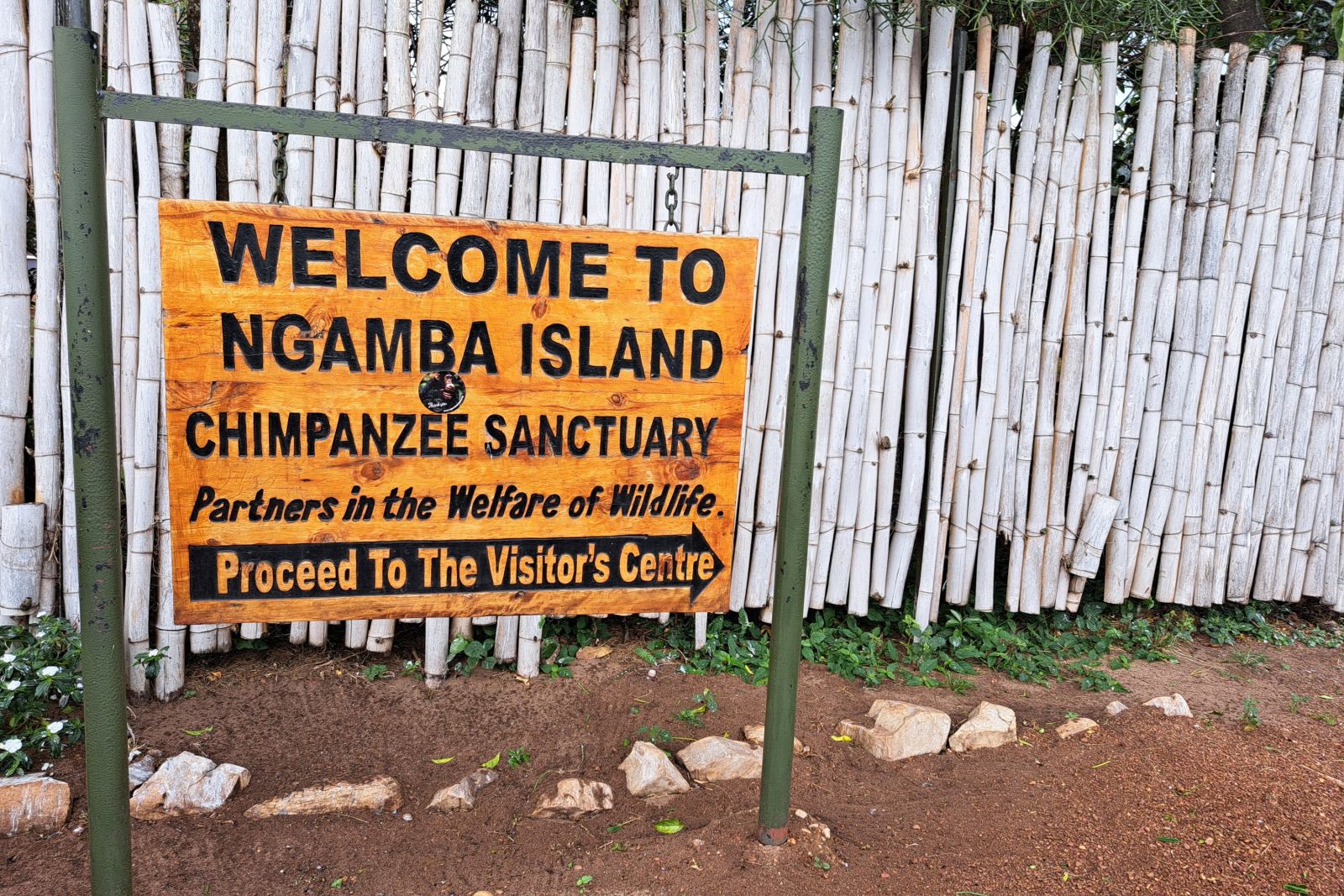 Ngamba Island