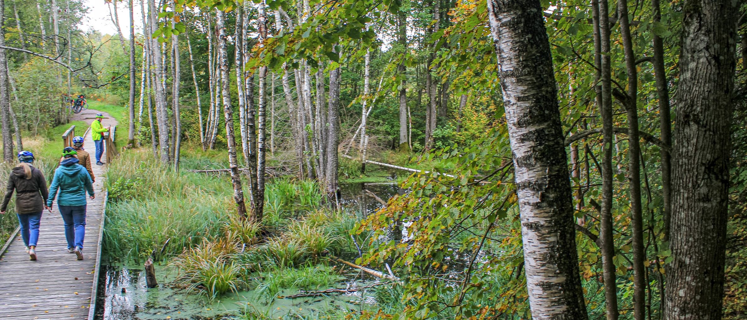 Moore, Wälder, Einsamkeit – all das erlebt man im Hinterland Litauens