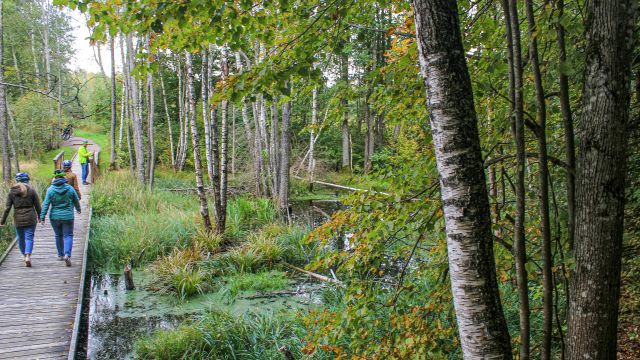 Moore, Wälder, Einsamkeit - all das erlebt man im Hinterland Litauens