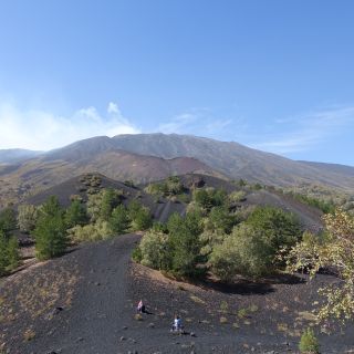 Blick über die Kraterlandschaft der Nordflanke in Richtung Ätna-Hauptkrater