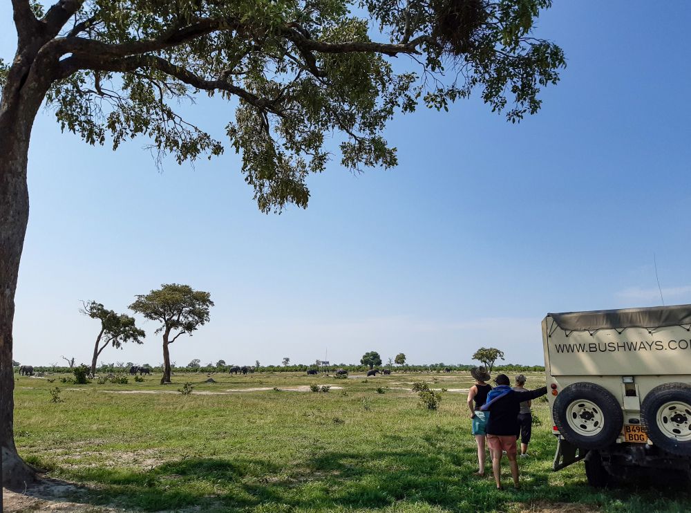 Pause während einer Safari in der Savuti-Region