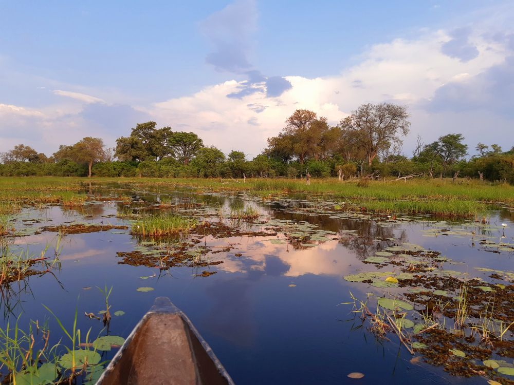 Mokoro-Fahrt im Okavango-Delta