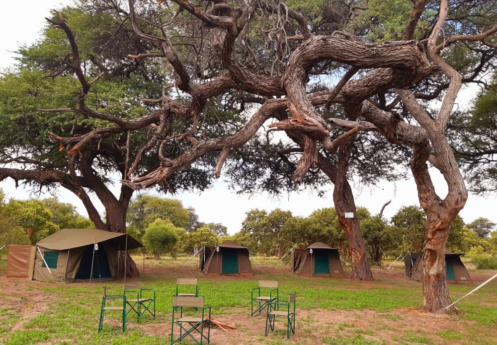 Mobile Safari Camp in der Savuti-Region