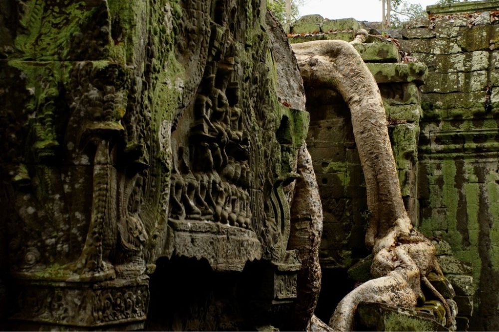 Ein moosbewachsenes Labyrinth aus kunstvoll verzierten Statuen und präzise gelegten Steinmauern