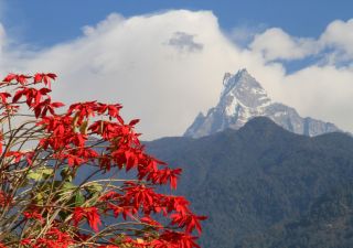 Der Machhapuchare (6997m) ist ein heiliger Berg und darf nicht bestiegen werden