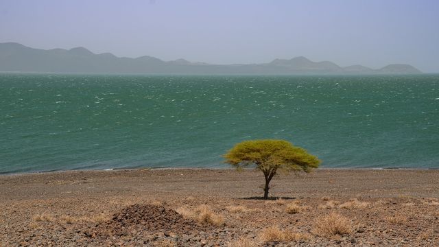 Am Lake Turkana