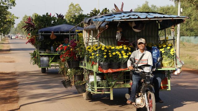 Mit exotischen Pflanzen und Blumen  auf dem Weg zum Wochenmarkt in Angkor