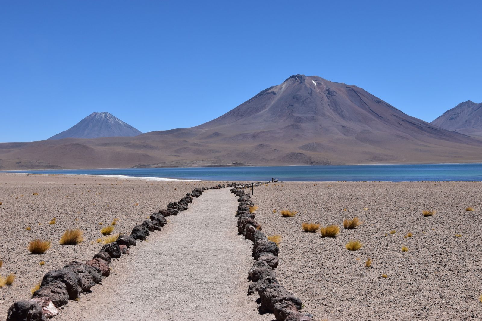 Atacama-Wüste: Vulkane, Lagunen und Flamingos