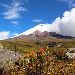 Malerischer Cotopaxi im Andenhochland