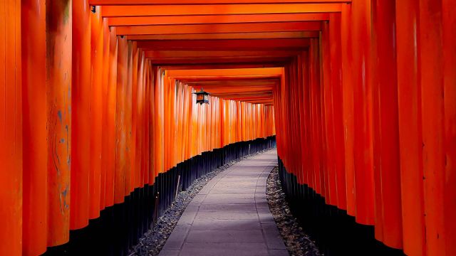 Torii-Tore des Fushimi-Inari-Schreins in Kyoto