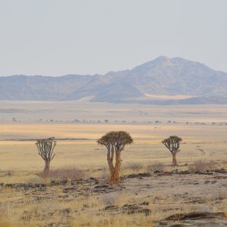 Auf Safari durch Namibia, Botswana und Sambia