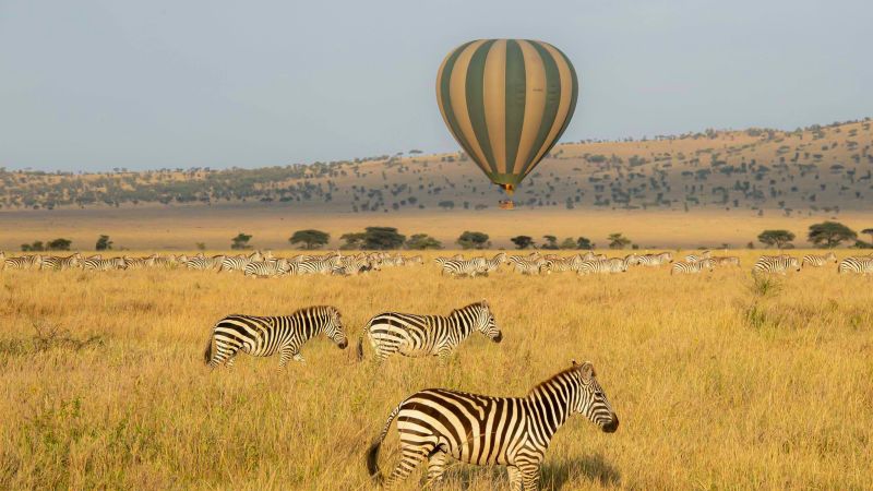 Zebras und Ballon in der Serengeti