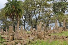 Phallische Stelen im Gräberfeld von Tutu Fela in Südäthiopien