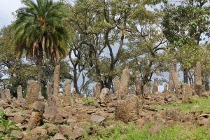 Phallische Stelen im Gräberfeld von Tutu Fela