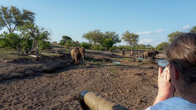Elefanten auf Safari im Mashatu Reservat