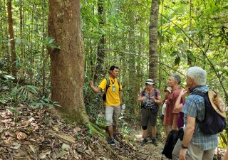Trekkingtour auf dem Mt. Ngon Nak in Krabi
