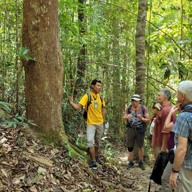 Trekkingtour auf dem Mt. Ngon Nak in Krabi