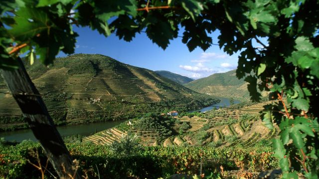Blick über das Douro-Tal, Nordportugal