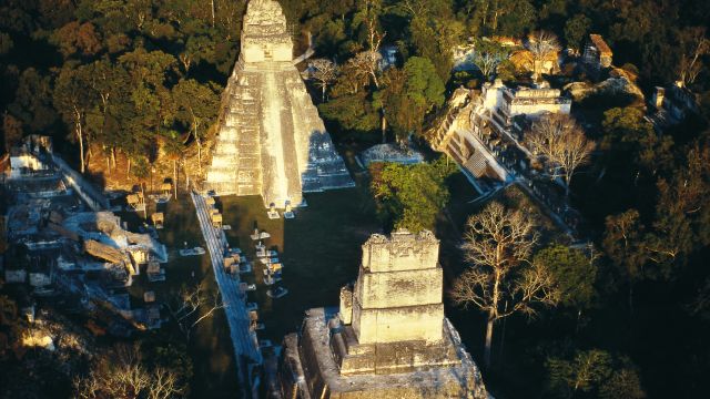 Maya-Tempel Tikal in Guatemala