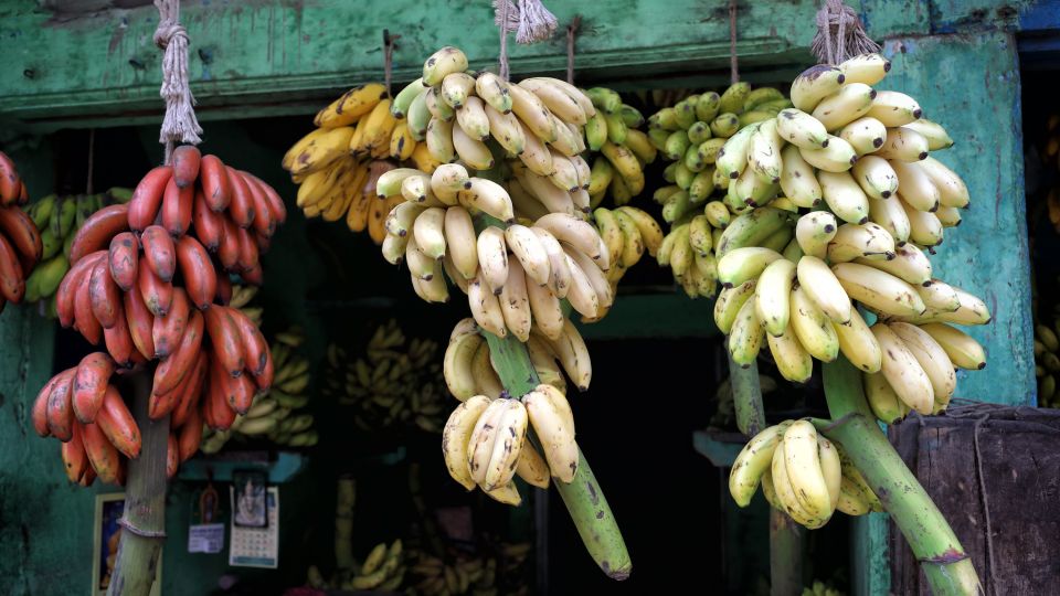 Unterwegs auf dem Bananenmarkt in Madurai.
