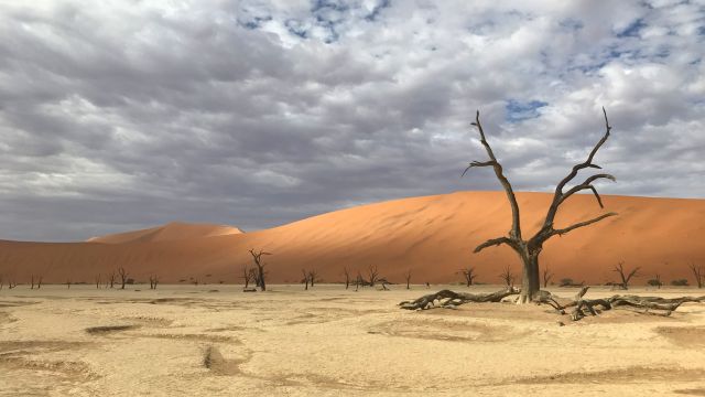 Deadvlei in Namibia