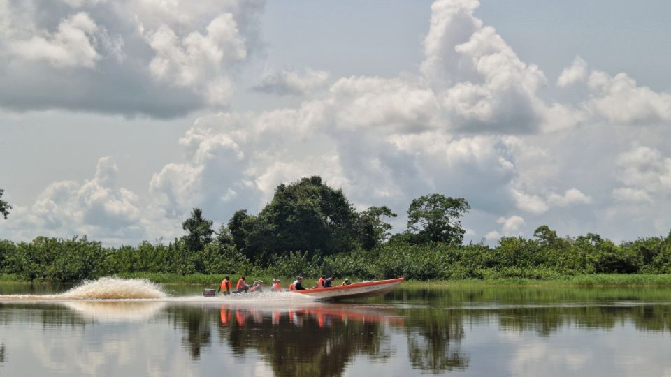 Bootsfahrt auf dem Ogooue-Fluss