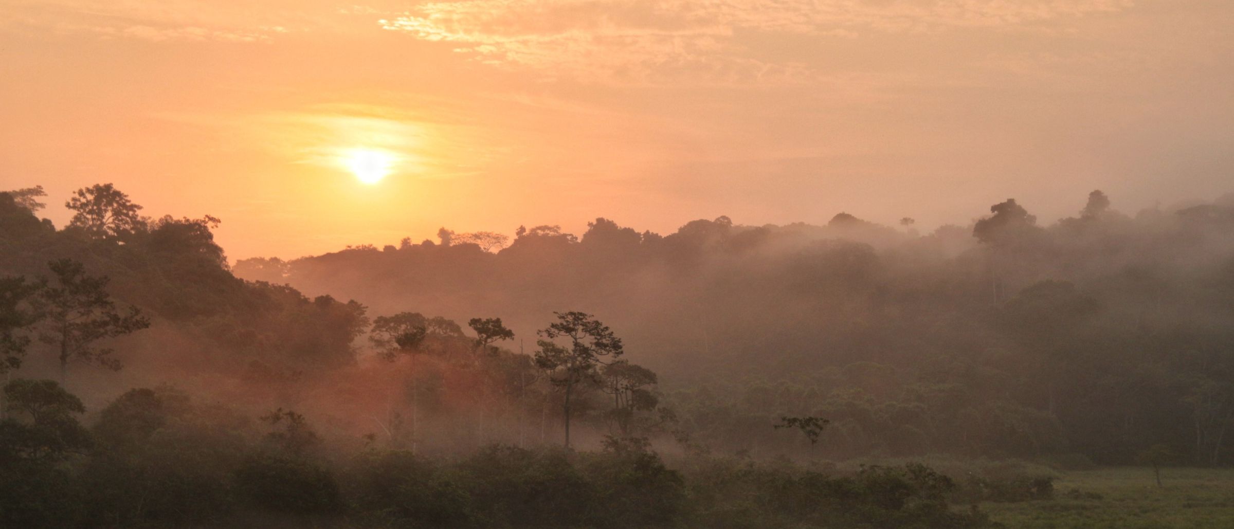 Sonnenaufgang im Loango-Nationalpark
