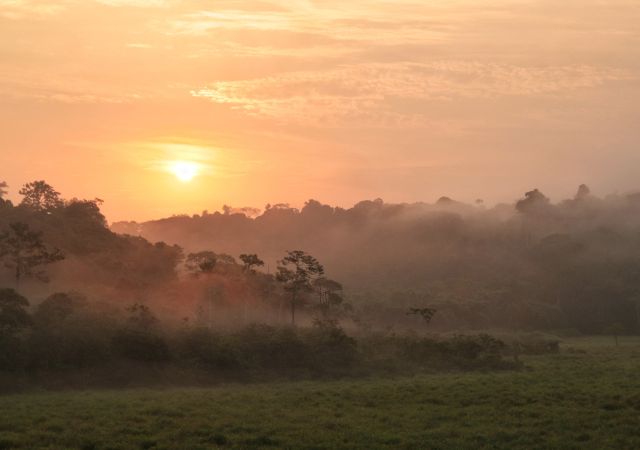 Sonnenaufgang im Loango-Nationalpark