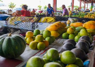 Buntes und gemütliches Markttreiben in Apia